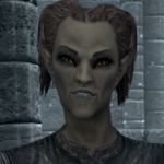 ファラルダ先生